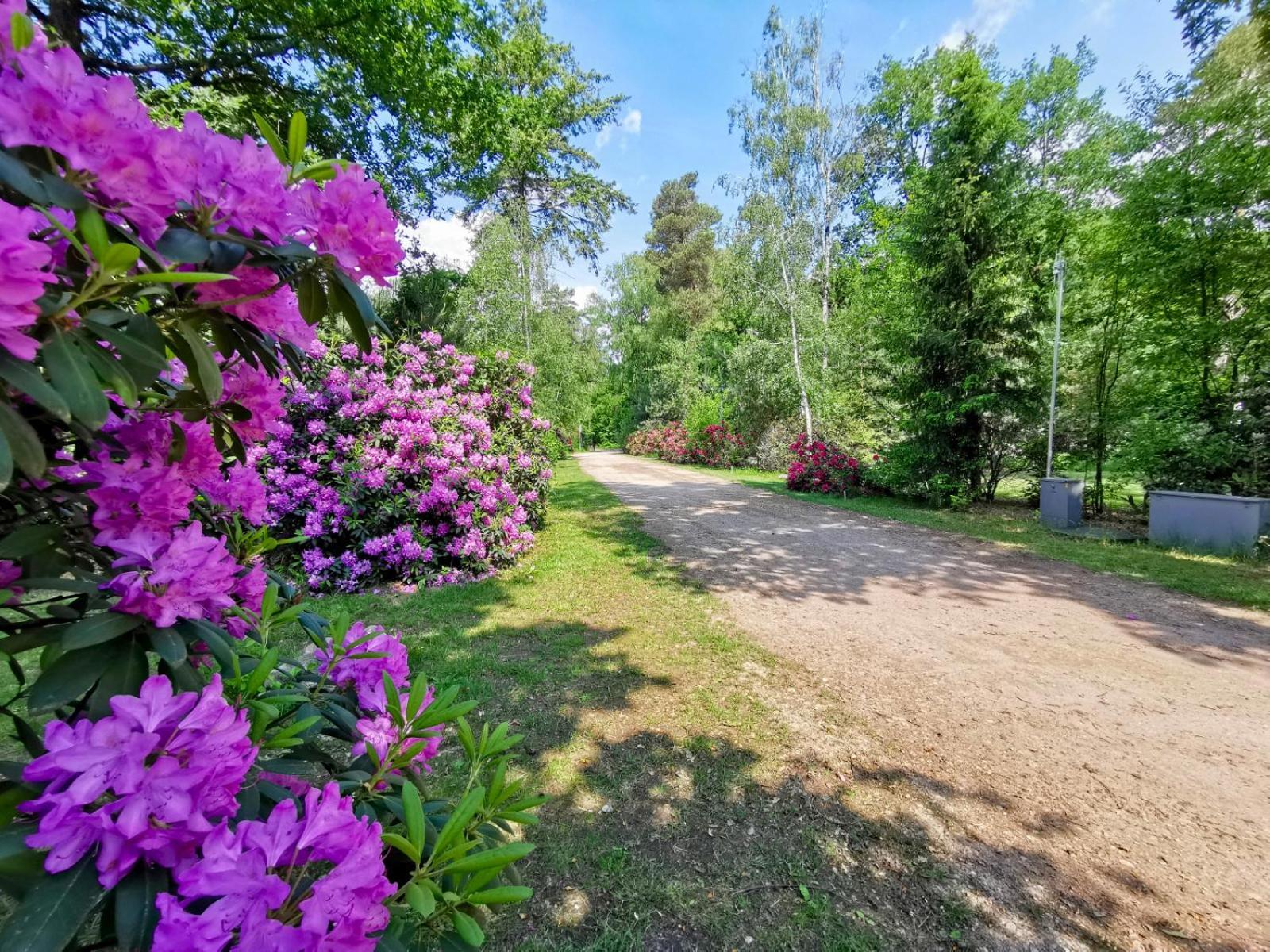 Scandinavian Lodges Holten Exterior photo